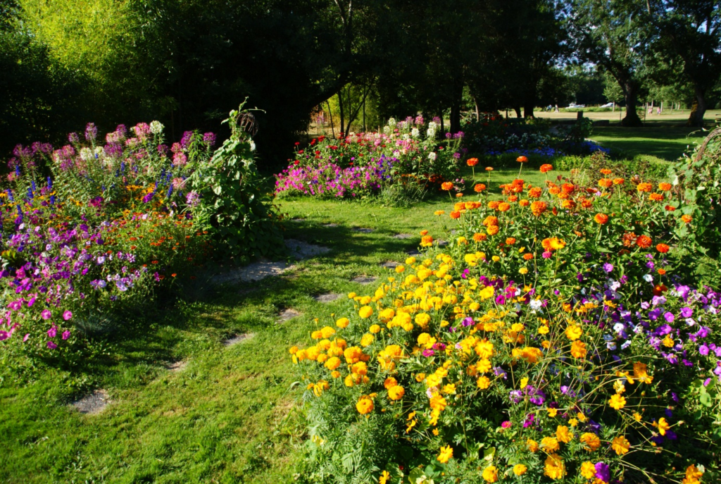pre-fleuri